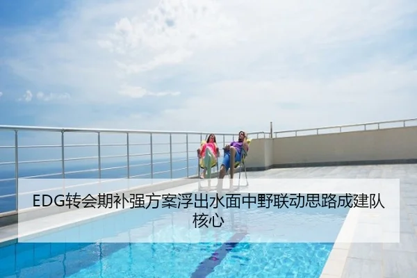 EDG转会期补强方案浮出水面中野联动思路成建队核心